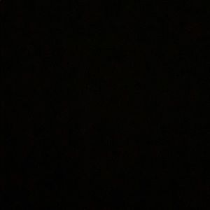 Meet your Posher, Dani